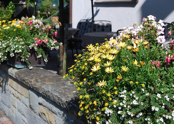 Landgasthof Schneider, Westfeld 3* שמאלנברג